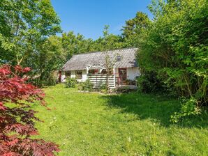 Ferienhaus 6 persoons vakantie huis in Løkken-By Traum