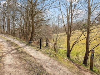 Ferienhaus Frederiksværk Außenaufnahme 12