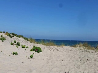 Casa per le vacanze Frederiksværk  81