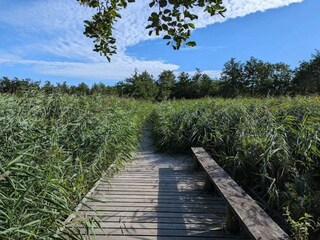 Casa per le vacanze Frederiksværk  27