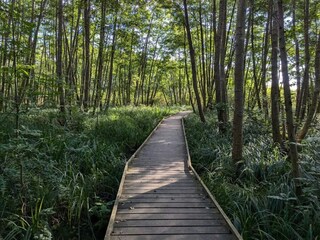 Maison de vacances Frederiksværk  6