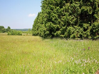 Chalet Robertville Entorno 28
