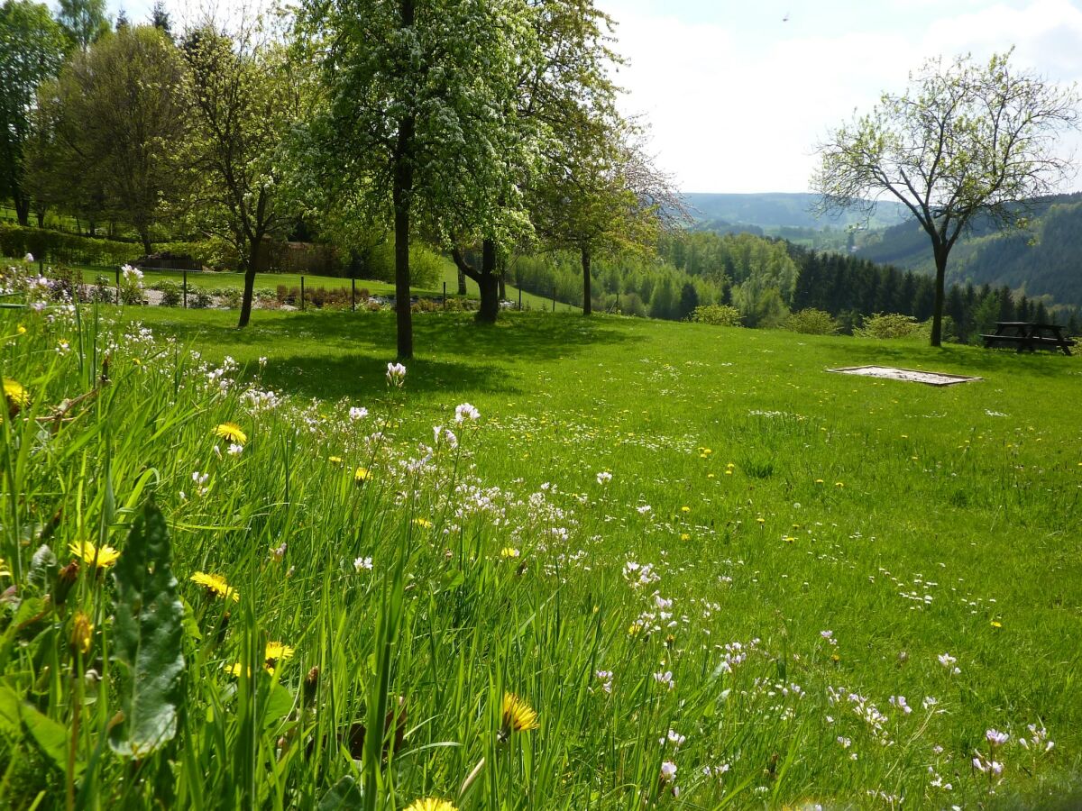 Chalet Malmedy Außenaufnahme 3