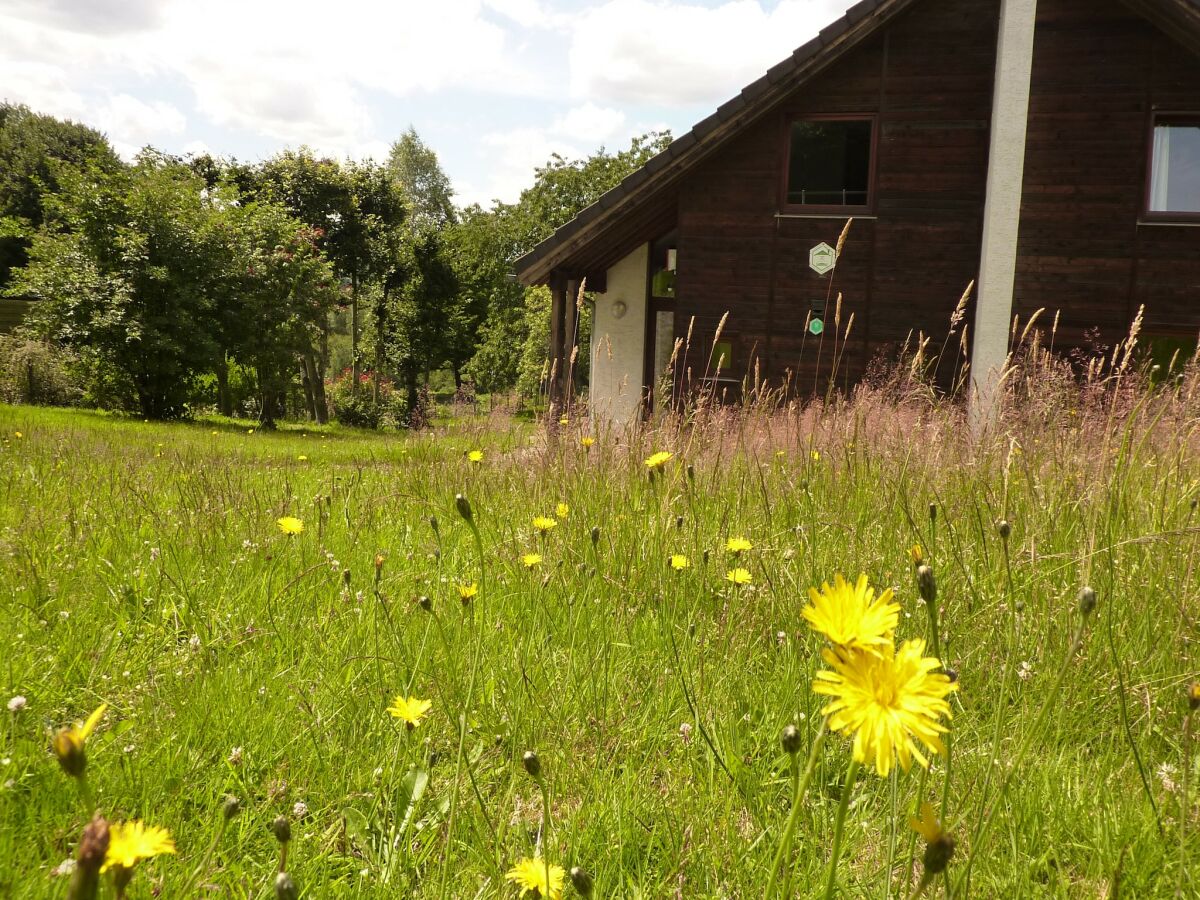 Chalet Malmedy  36