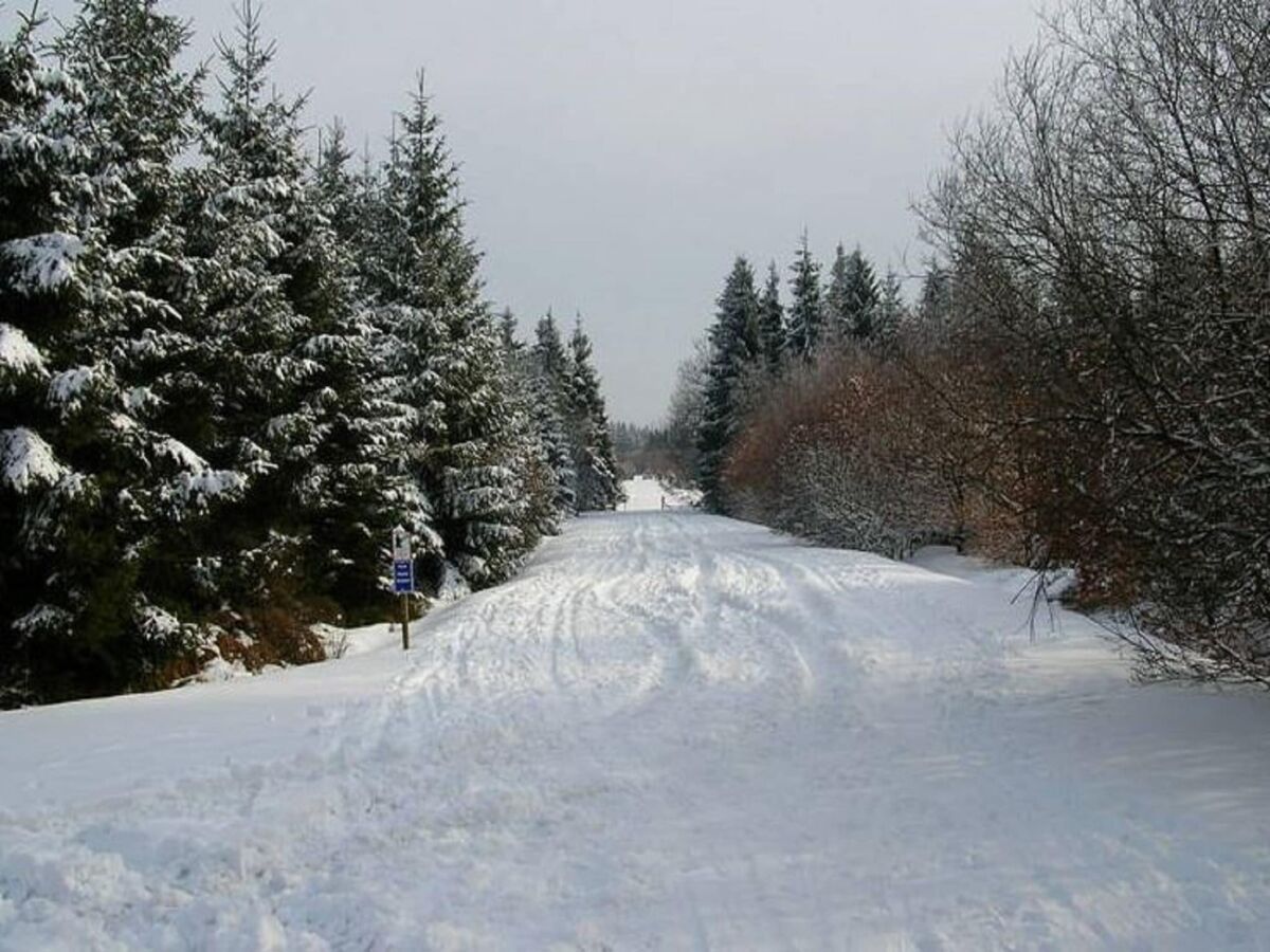 Chalet Malmedy Umgebung 34