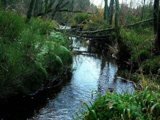 Chalet Malmedy Ambiente 33