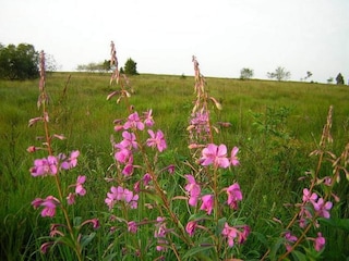 Chalet Malmedy Umgebung 34