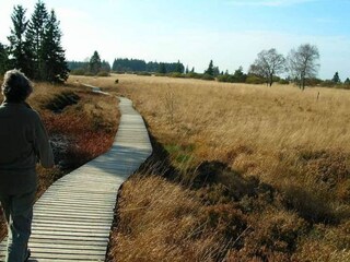 Chalet Malmedy Omgeving 35