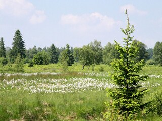 Chalet Malmedy Environnement 30