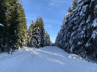 Chalet Malmedy Environment 33