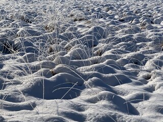 Chalet Malmedy Environnement 35