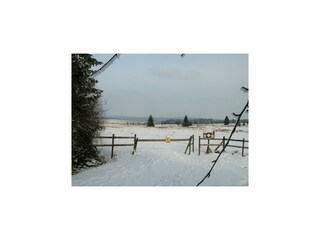 Maison de vacances Robertville Environnement 33