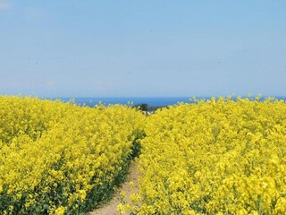 Apartamento Carinerland Entorno 32