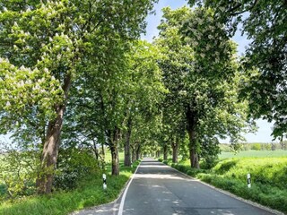 Apartamento Carinerland Entorno 22