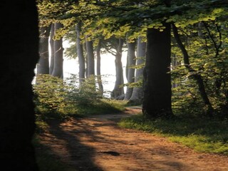 Appartamento Carinerland Ambiente 24