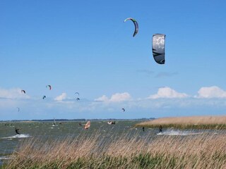 Appartamento Carinerland Ambiente 29