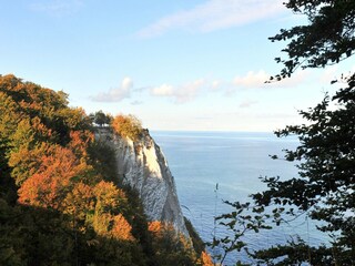 Apartment Sellin Umgebung 26