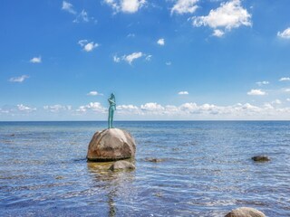 Apartment Sellin Umgebung 33