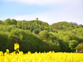 Apartment Sellin Environment 27