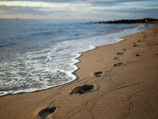 Apartment Sellin Umgebung 3