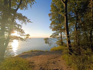 Apartment Sellin Environment 14