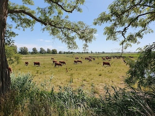 Apartment Sellin Environment 35