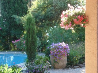 Villa Saint-Raphael Outdoor Recording 12