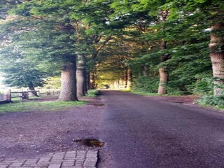 Parc de vacances De Bult Environnement 22