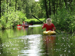 Vakantiepark De Bult Omgeving 24