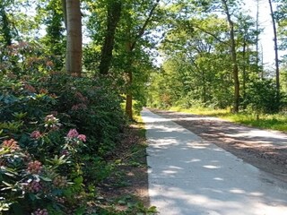 Vakantiepark De Bult Omgeving 25
