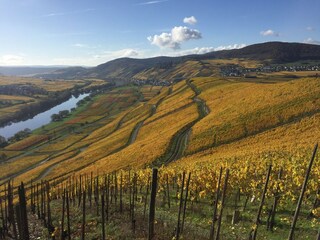 Casa per le vacanze Neumagen-Dhron Ambiente 31