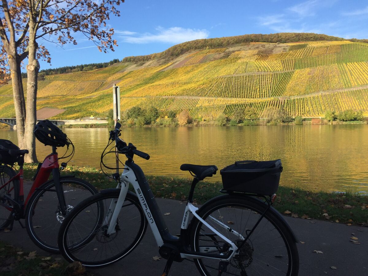 Biking close to the Mosel river