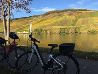 Casa per le vacanze Neumagen-Dhron Caratteristiche 28