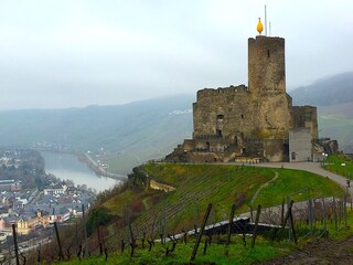 Casa per le vacanze Neumagen-Dhron Ambiente 35