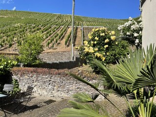 Casa per le vacanze Neumagen-Dhron Registrazione all'aperto 7