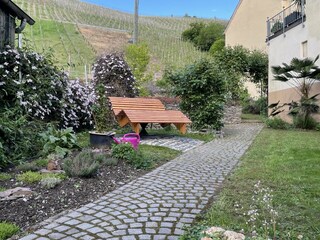 Casa per le vacanze Neumagen-Dhron Registrazione all'aperto 10