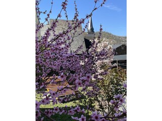 Casa per le vacanze Neumagen-Dhron Registrazione all'aperto 17