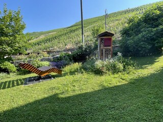 Casa de vacaciones Neumagen-Dhron Grabación al aire libre 18