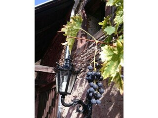 Casa per le vacanze Neumagen-Dhron Registrazione all'aperto 4