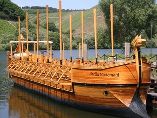 Casa per le vacanze Neumagen-Dhron Ambiente 29