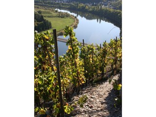 Casa per le vacanze Neumagen-Dhron Ambiente 32