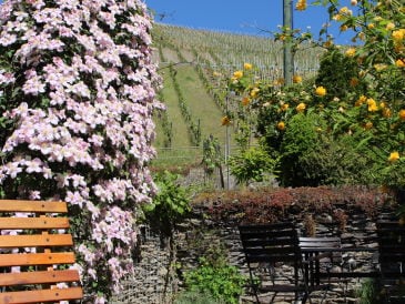 Holiday house Historical appartment in Neumagen-Dhron