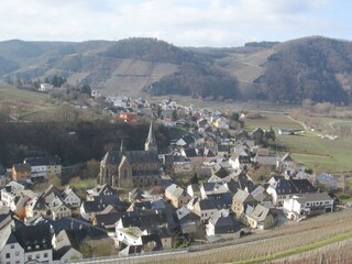 Casa per le vacanze Neumagen-Dhron Ambiente 30