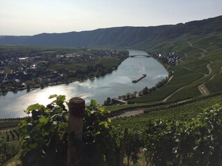 Casa per le vacanze Neumagen-Dhron Ambiente 36