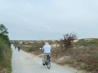 Fahrradweg in den Dünen