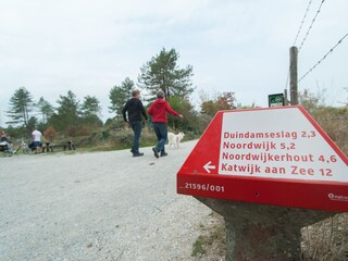 Wanderwege in den Dünen