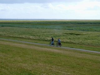 WUNDERSCHÖNE RADTOUREN ÜBER DIE HALBINSEL EIDERSTEDT