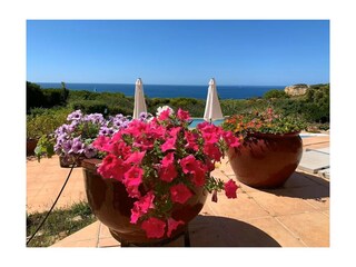 Casa per le vacanze Carvoeiro Registrazione all'aperto 11