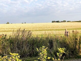 Ferienhaus Præstø  23