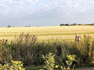 Casa de vacaciones Præstø  6